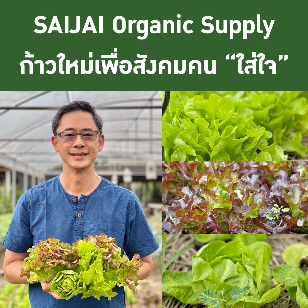 SAIJAI Organic Supply ก้าวใหม่เพื่อสังคมคน “ใส่ใจ”